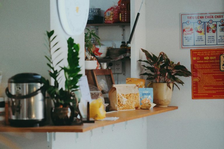 cozy kitchen counter with plants and appliances
