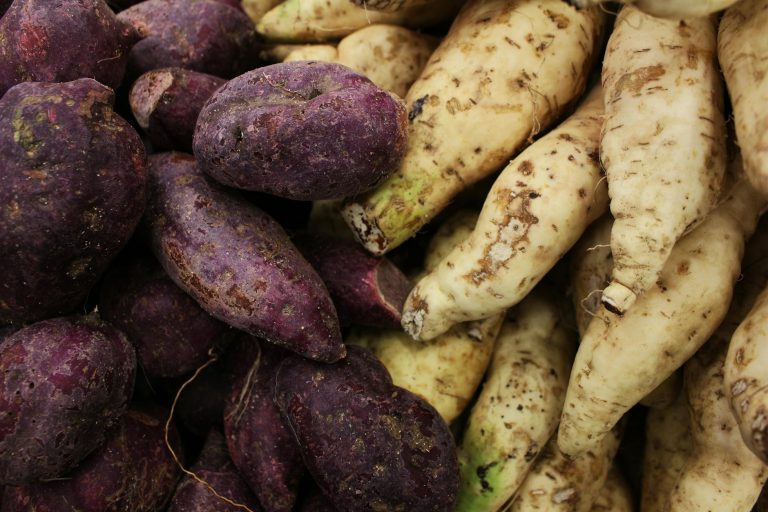 pile of sweet potatoes and radishes
