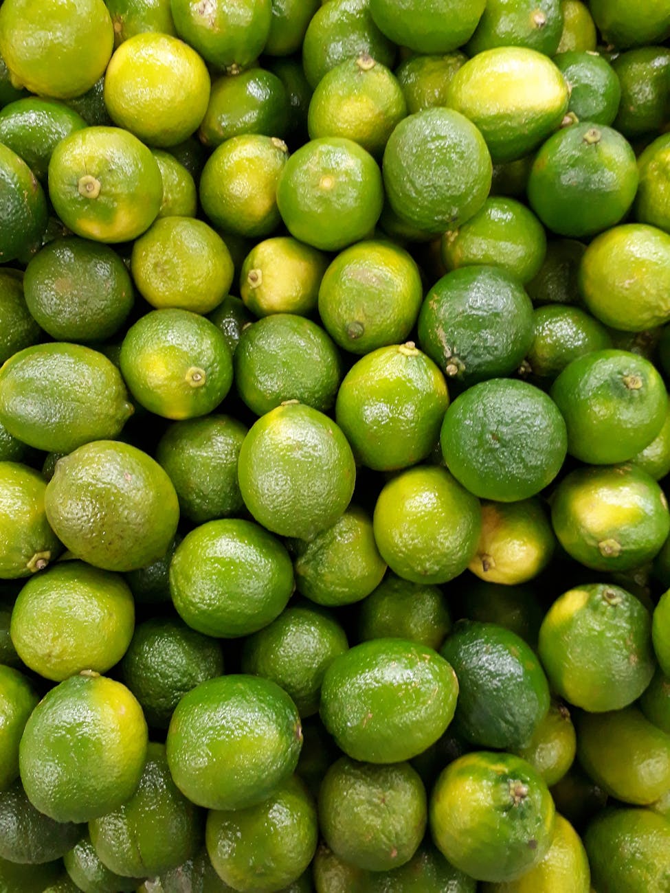 calamansis