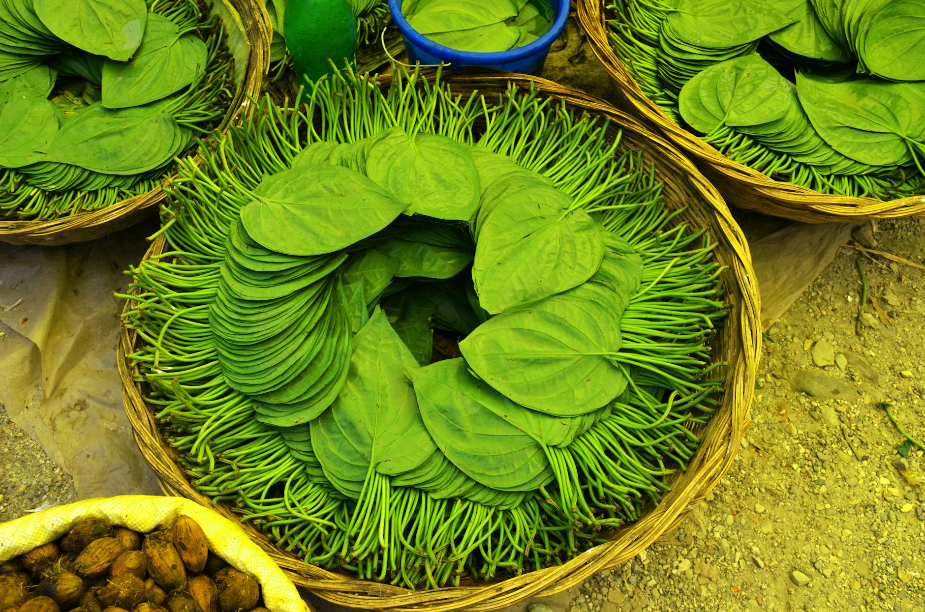 green leaves in wicker basket