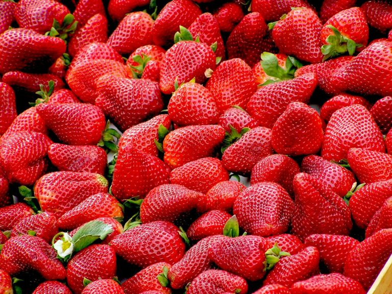 red strawberries