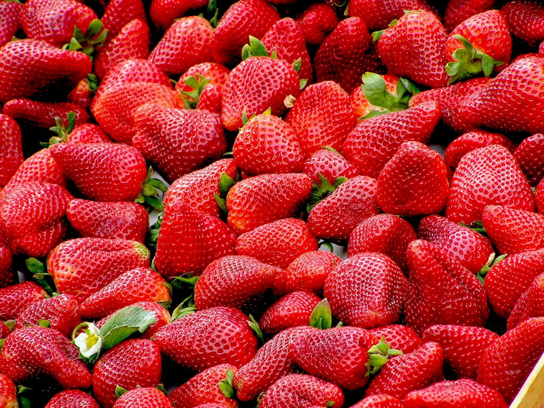 red strawberries